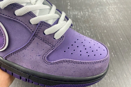 Style match Compact 1623 Nike SB Dunk Low Concepts Purple Lobster - BV1310-555
