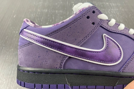 Style match Compact 1623 Nike SB Dunk Low Concepts Purple Lobster - BV1310-555