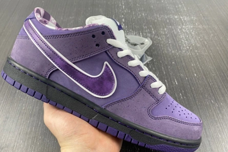 Style match Compact 1623 Nike SB Dunk Low Concepts Purple Lobster - BV1310-555