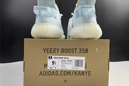 Cost-effective Compact 189 adidas Yeezy Boost 350 V2 Mono Ice GW2869