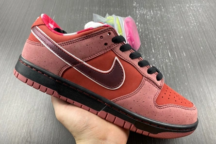 Inspired design Compact 499 Nike SB Dunk Low Concepts Red Lobster  313170-661
