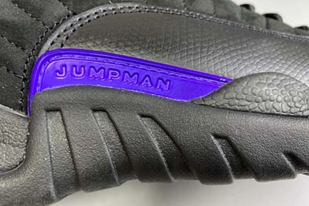 Deal-worthy Functional 3152 Air Jordan 12 “Dark Concord” CT8013-005