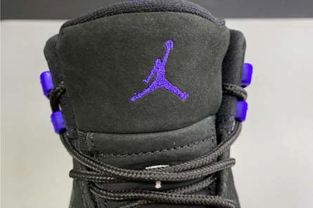 Deal-worthy Functional 3152 Air Jordan 12 “Dark Concord” CT8013-005