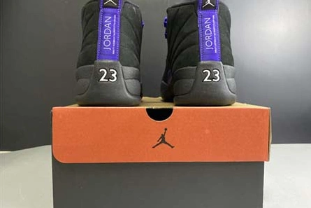 Deal-worthy Functional 3152 Air Jordan 12 “Dark Concord” CT8013-005