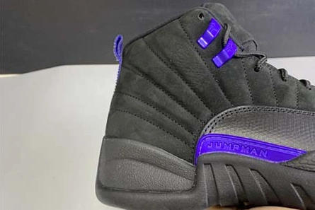 Deal-worthy Functional 3152 Air Jordan 12 “Dark Concord” CT8013-005