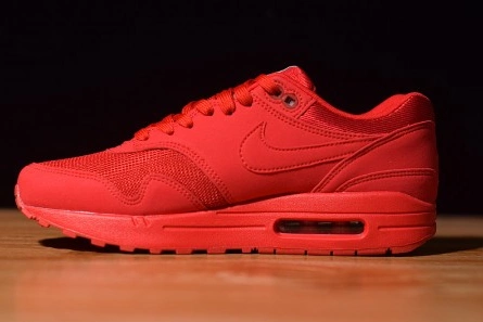Functional 7074 Air Max 1 Tonal Red Blue 875844-600
