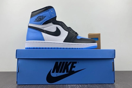 Style match GoAnywhere 8744 Air Jordan 1 High DZ5485-400