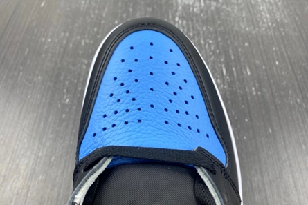 Style match GoAnywhere 8744 Air Jordan 1 High DZ5485-400