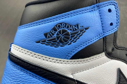 Style match GoAnywhere 8744 Air Jordan 1 High DZ5485-400