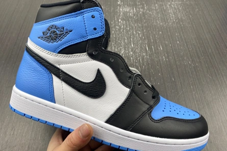 Style match GoAnywhere 8744 Air Jordan 1 High DZ5485-400