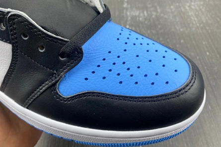 Style match GoAnywhere 8744 Air Jordan 1 High DZ5485-400