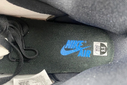 Style match GoAnywhere 8744 Air Jordan 1 High DZ5485-400