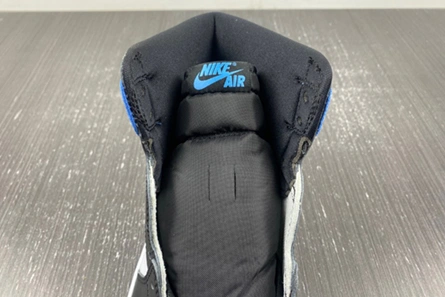 Style match GoAnywhere 8744 Air Jordan 1 High DZ5485-400