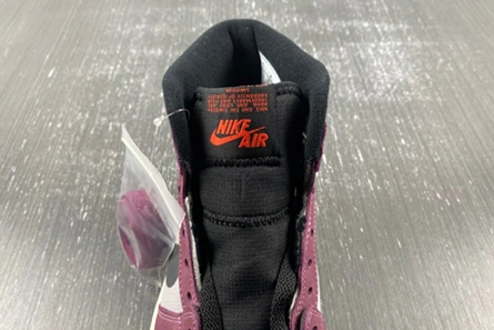 Replica Jordan 1 High Element Gore-Tex Berry DB2889-500 Efficient 926