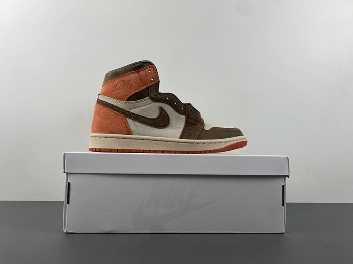 Jordan 1 Retro High OG SP Dusted Clay (Women's)  FQ2941-200 TopPick 4741
