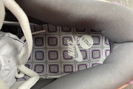 Inspired design Lightweight 9806 Nike SB Dunk Low Purple Pigeon 304292-051