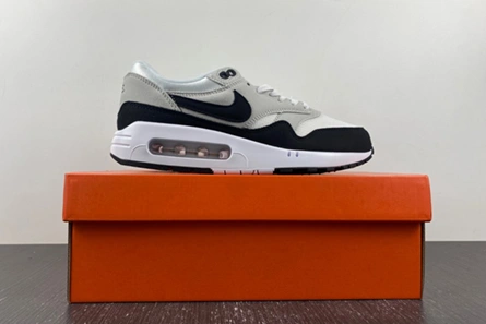 Minimalist 731 Nike Air Max 1 '86 OG DV1403-110