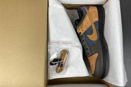 Fair-priced ModernLook 5016 Nike Dunk Low “Cider” DH0601-001