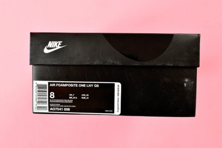 Mirror quality NIKE AIR FOAMPOSITE ONE LNY QS 