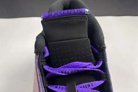 Parallel design NewStyle 4827 Air Jordan 14“Doernbecher” CV2469-001