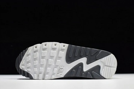 Mirror Nike Air Max 90 Essential - 537384-083 SmartChoice 3088
