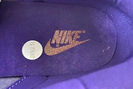 Nike Dunk Low “Plum” CU1726-500 Functional 380
