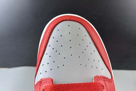 Nike Dunk Low SB CU1726-600 WellDesigned 7582