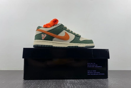 Nike SB Dunk Low Eire  304292-185 Fashionable 8598