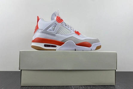 Nike SB x Air Jordan 4 DR5415-108 Minimalist 5404