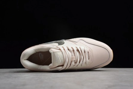Cost-effective Nike WMNS Air Max 1 Premium Pink | 454746-800 TopPick 520