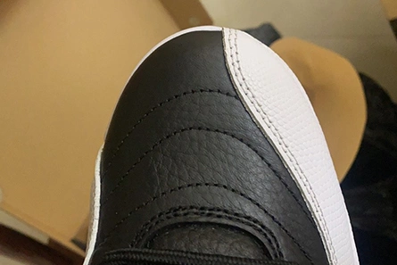 Sleek 279 Jordan 12 Retro Playoffs (2022)  CT8013-006