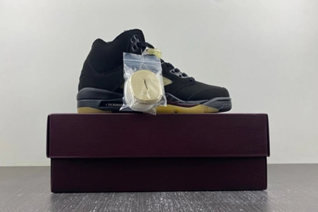 Sleek 316 Jordan 5 Retro SP A Ma Maniére Black  FD1330-001