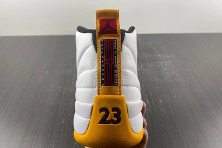 Sleek 9947 Air Jordan 12 Retro DR8887-100