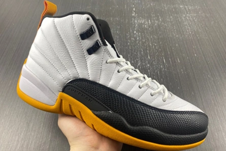 Designer inspired Sleek 9947 Air Jordan 12 Retro DR8887-100
