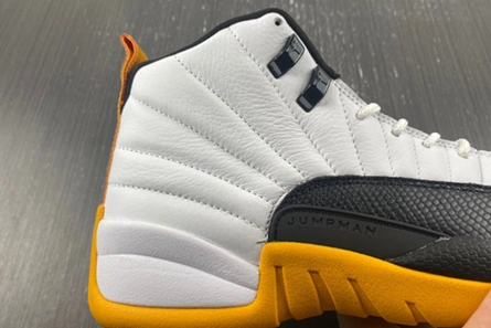 Designer inspired Sleek 9947 Air Jordan 12 Retro DR8887-100