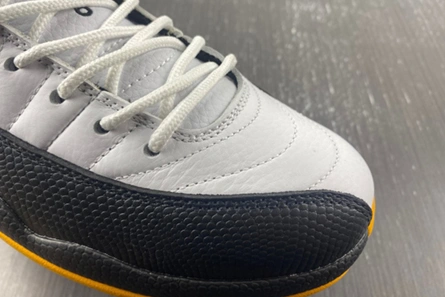 Designer inspired Sleek 9947 Air Jordan 12 Retro DR8887-100
