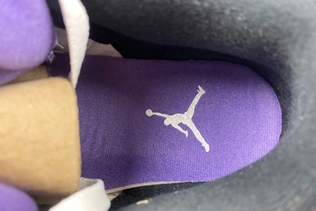 Mirror SmartChoice 8325 Air Jordan 3 “Dark Iris” CT8532-105