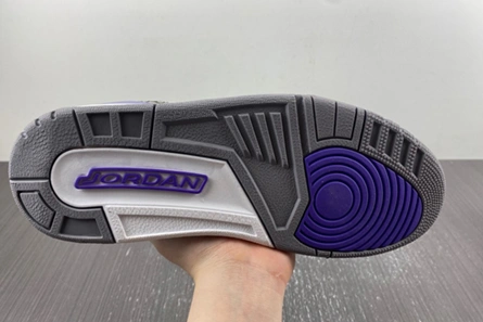 Mirror SmartChoice 8325 Air Jordan 3 “Dark Iris” CT8532-105