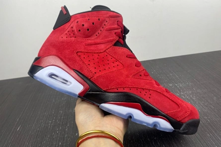 Luxury copy Sophisticated 174 Jordan 6 Retro CT8529-600