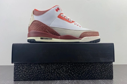 StreetReady 9881 Jordan 3 Retro SE Dunk on Mars DV7028-108