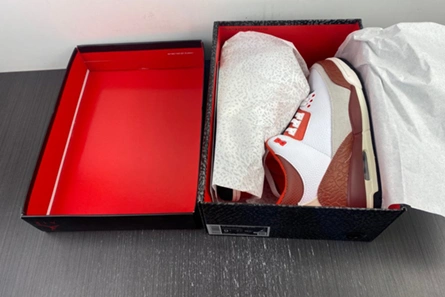 Low-cost StreetReady 9881 Jordan 3 Retro SE Dunk on Mars DV7028-108