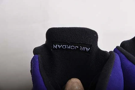Stylish 4606 Air Jordan 5 “Alternate Grape” 136027-500