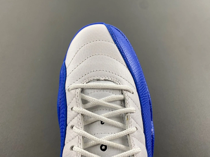Pricetag-smart Trendy 4026 Air Jordan 12 CT8013 116