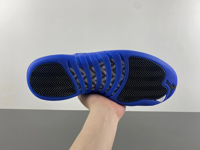 Pricetag-smart Trendy 4026 Air Jordan 12 CT8013 116