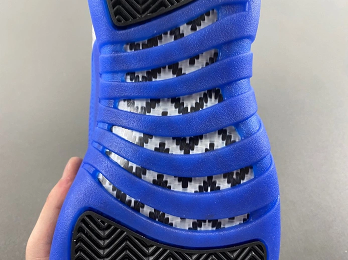Pricetag-smart Trendy 4026 Air Jordan 12 CT8013 116