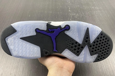 Parallel design Unique 8031 Jordan 6 Retro Flight Nostalgia - CI3125-100