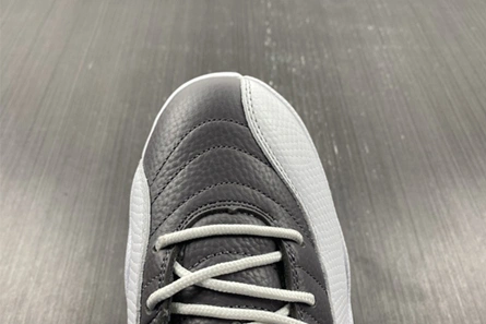Fashion duplicate Unique 9181 Air Jordan 12 STEALTH CT8025-610