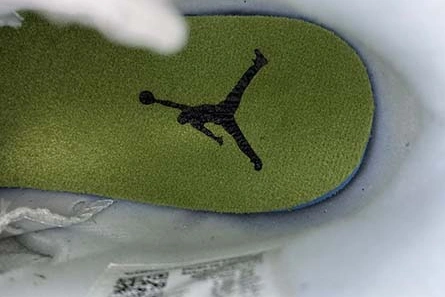 WellDesigned 9815 Air Jordan 6 GS “Alligator” 384665-110