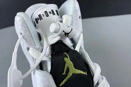 Master copy WellDesigned 9815 Air Jordan 6 GS “Alligator” 384665-110