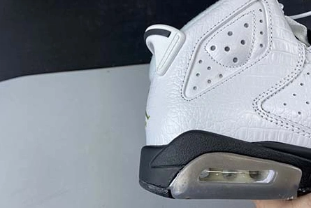 Master copy WellDesigned 9815 Air Jordan 6 GS “Alligator” 384665-110